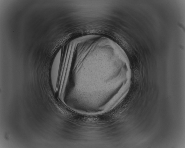 X0000096940401200802291038