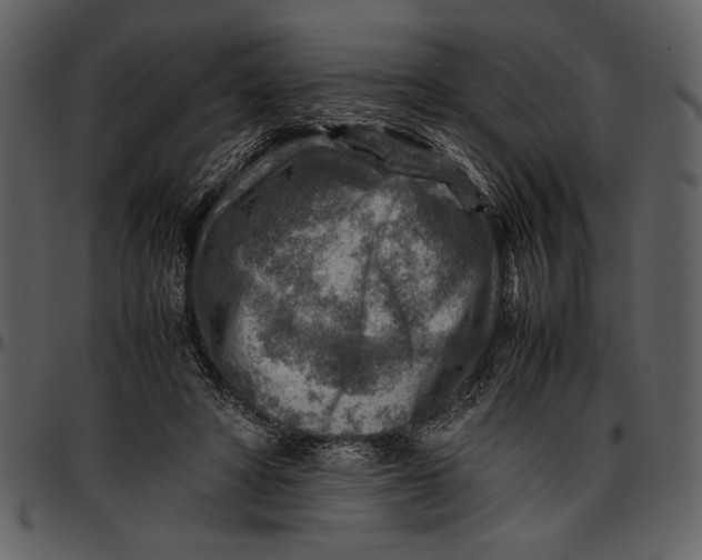 X0000096940402200802291038