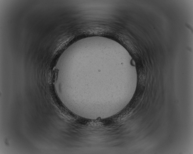 X0000096940403200802291038