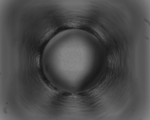 X0000096940404200802291038