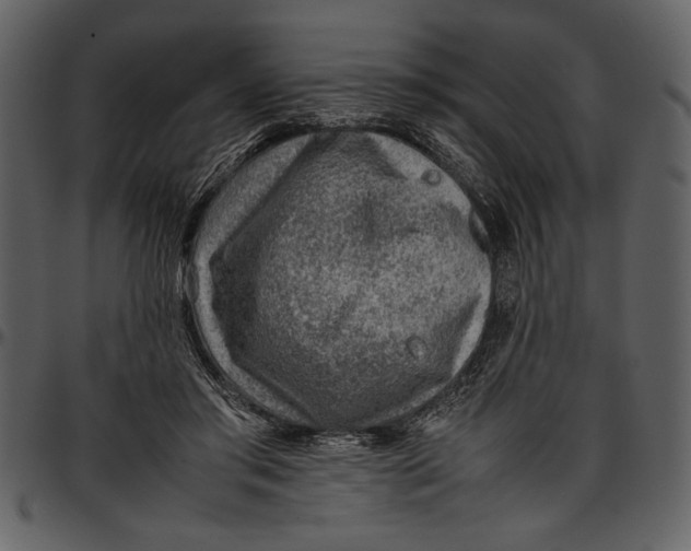 X0000096940405200802291038