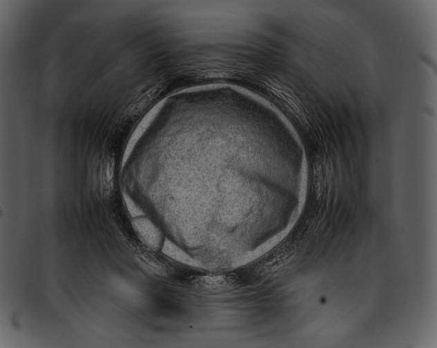 X0000096940406200802291038