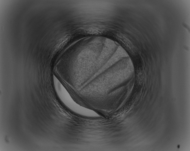 X0000096940407200802291038