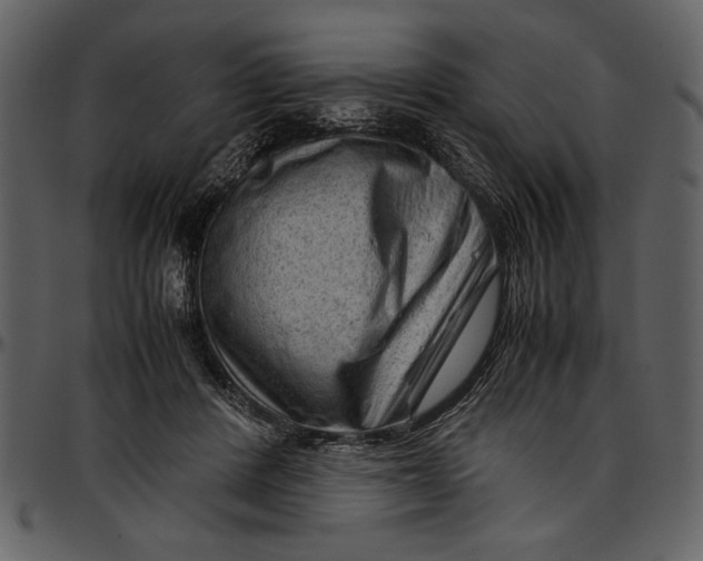 X0000096940408200802291038