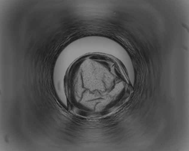 X0000096940409200802291038