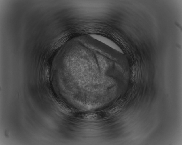 X0000096940410200802291038