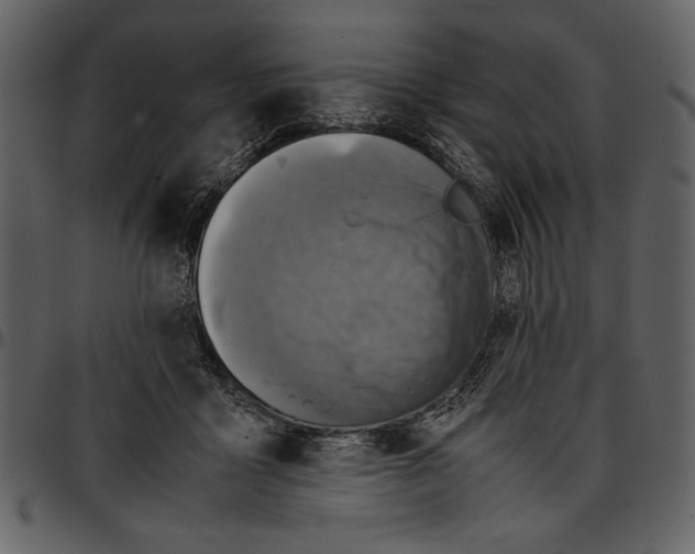 X0000096940411200802291038