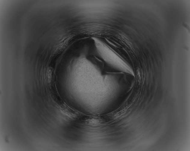 X0000096940412200802291038