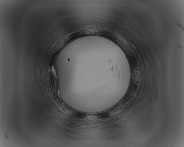 X0000096940413200802291038