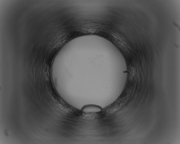 X0000096940414200802291038