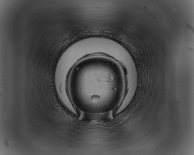 X0000096940415200802291038