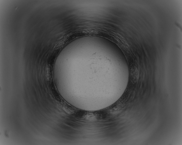 X0000096940416200802291038