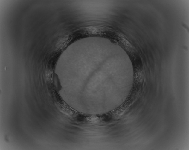 X0000096940419200802291038