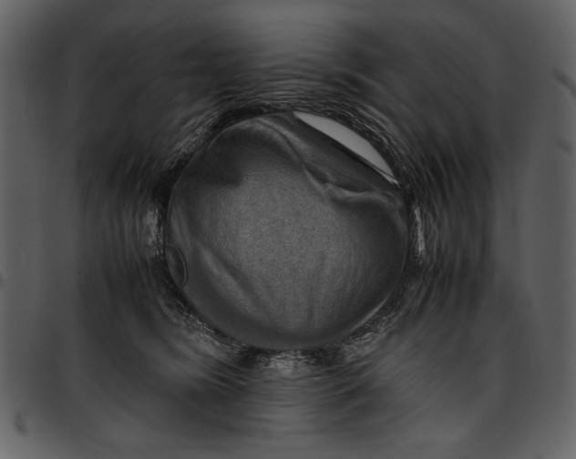 X0000096940420200802291038