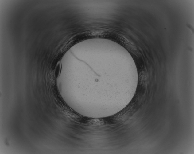 X0000096940421200802291038