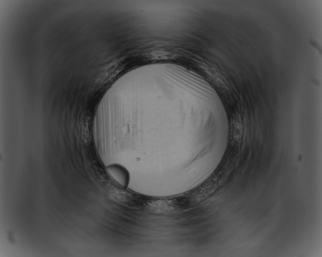 X0000096940422200802291038