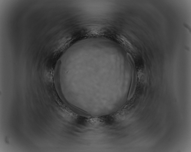 X0000096940423200802291038