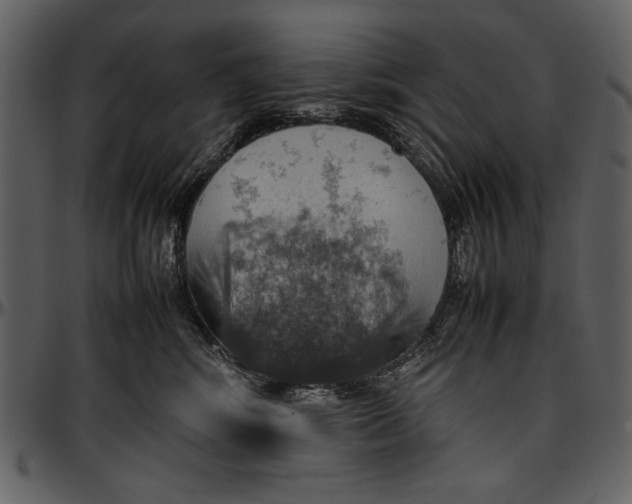 X0000096940424200802291038