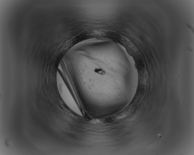 X0000096940425200802291038