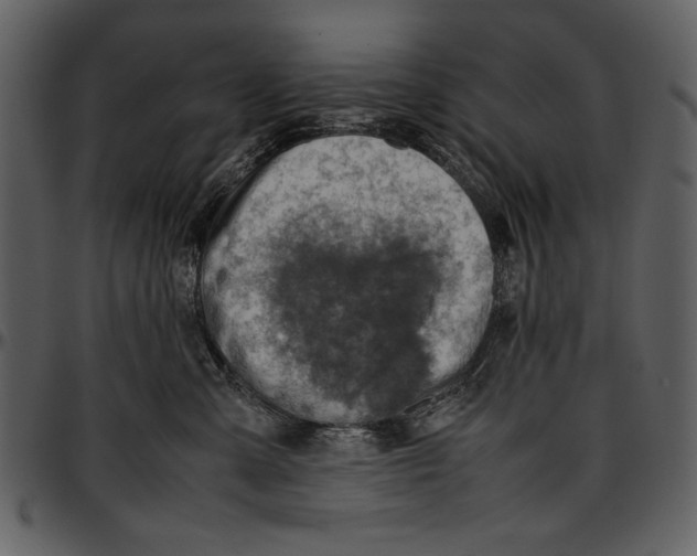 X0000096940427200802291037