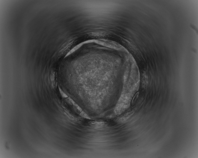 X0000096940428200802291037