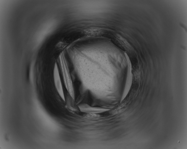 X0000096940429200802291037