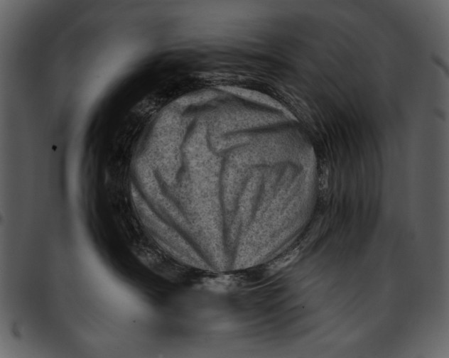 X0000096940430200802291037