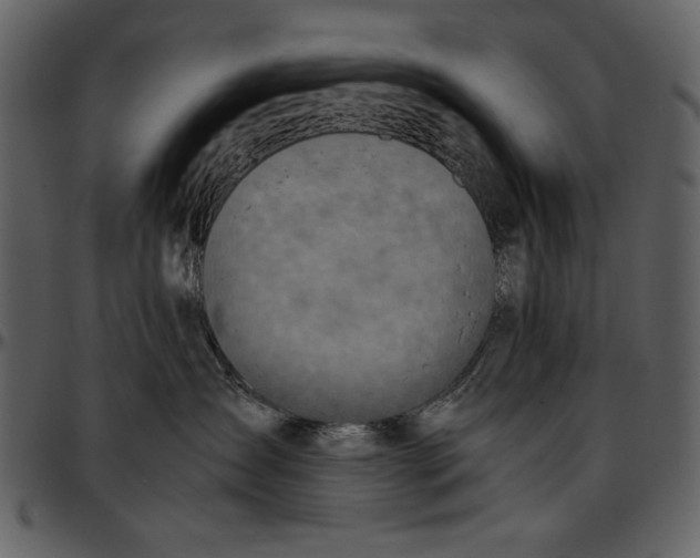 X0000096940431200802291037