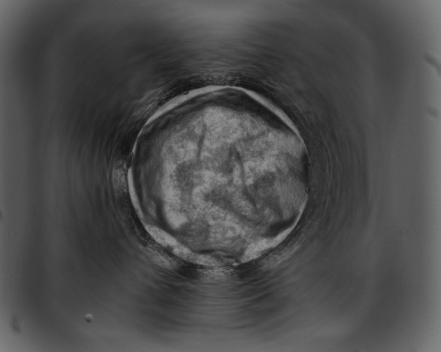 X0000096940432200802291037