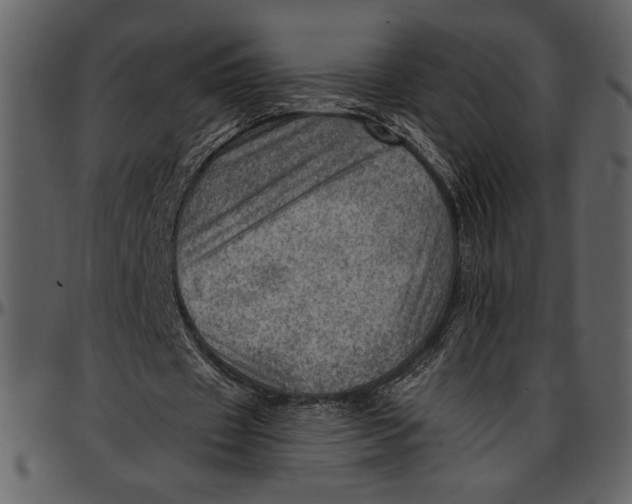 X0000096940433200802291037