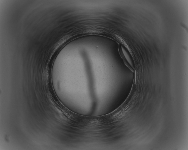 X0000096940435200802291037