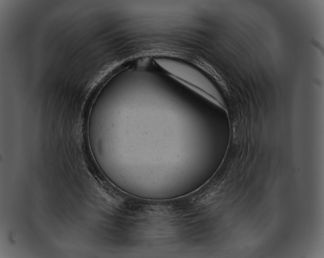 X0000096940436200802291037