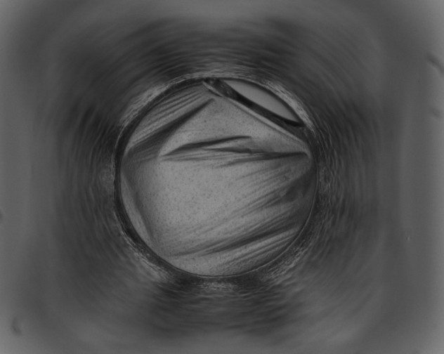 X0000096940437200802291037