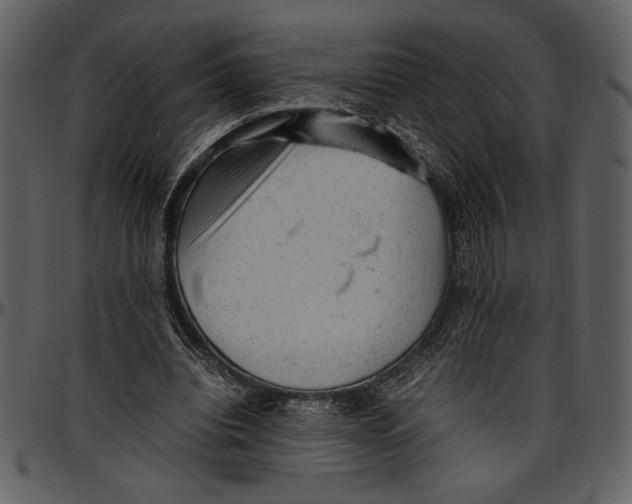 X0000096940440200802291037