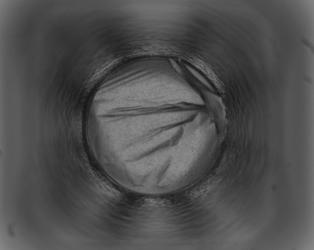 X0000096940442200802291037