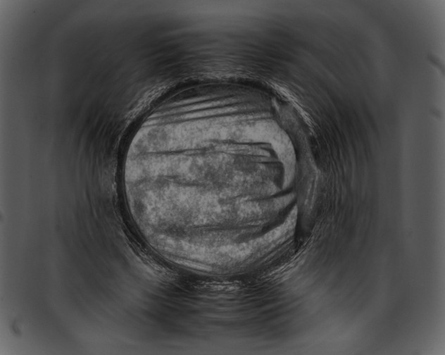 X0000096940443200802291037