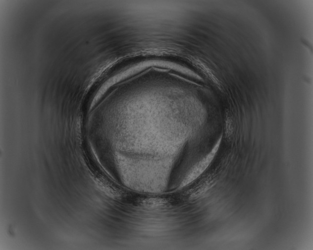 X0000096940444200802291037