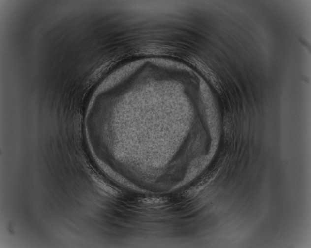 X0000096940445200802291037