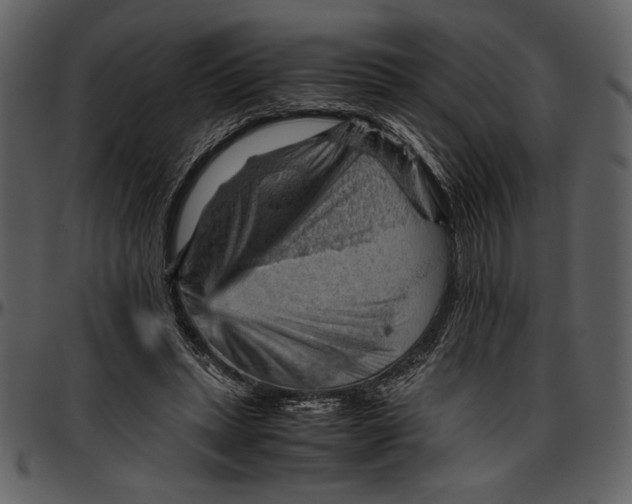 X0000096940447200802291037