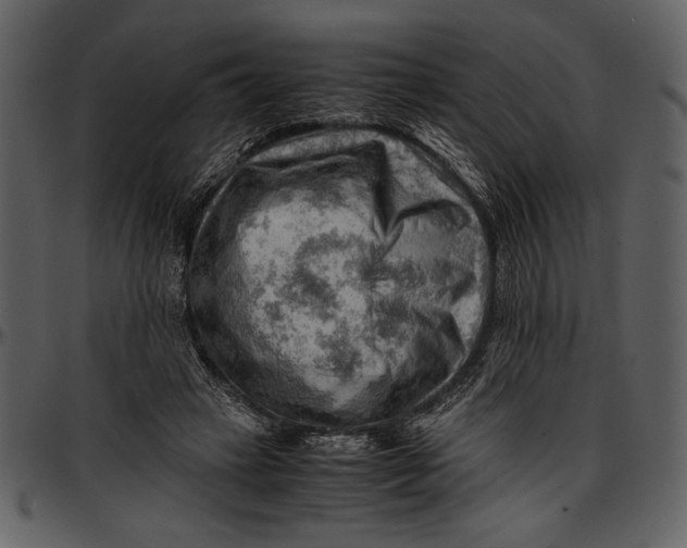 X0000096940449200802291037