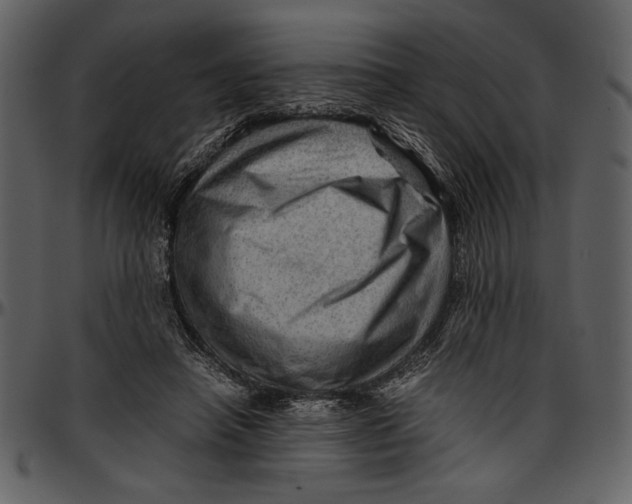 X0000096940450200802291037