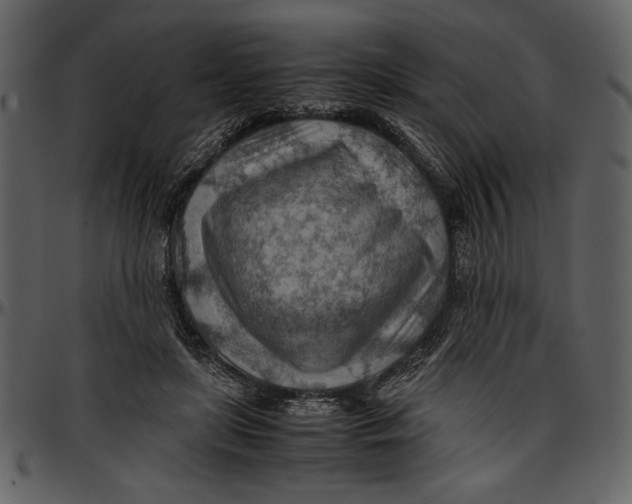 X0000096940451200802291037