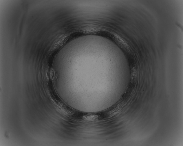 X0000096940452200802291037