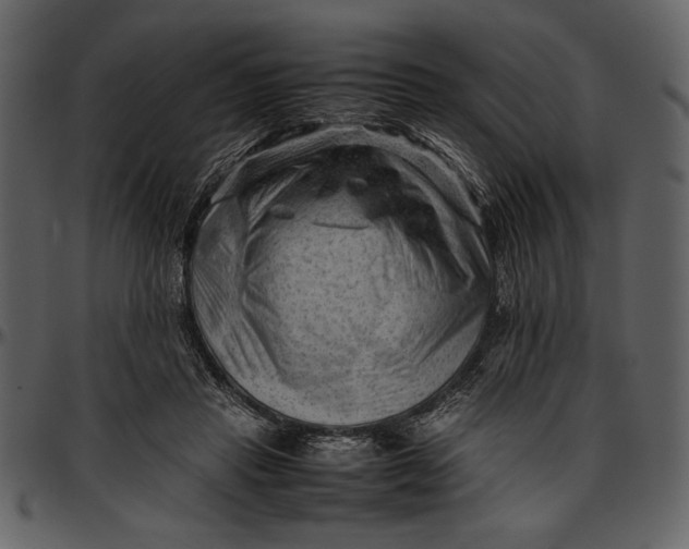 X0000096940453200802291037