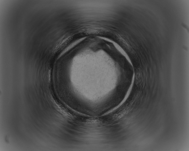 X0000096940454200802291037