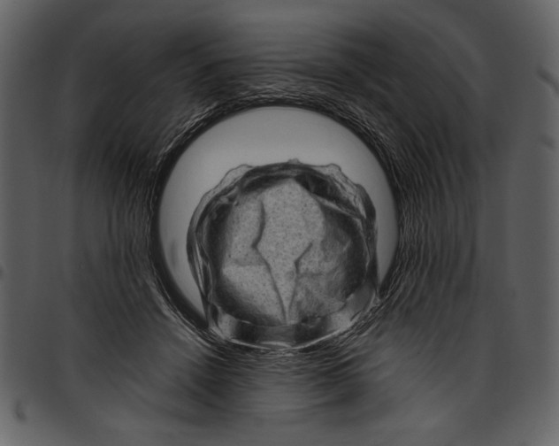 X0000096940456200802291037