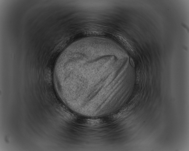 X0000096940457200802291037