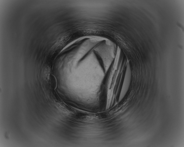 X0000096940458200802291037