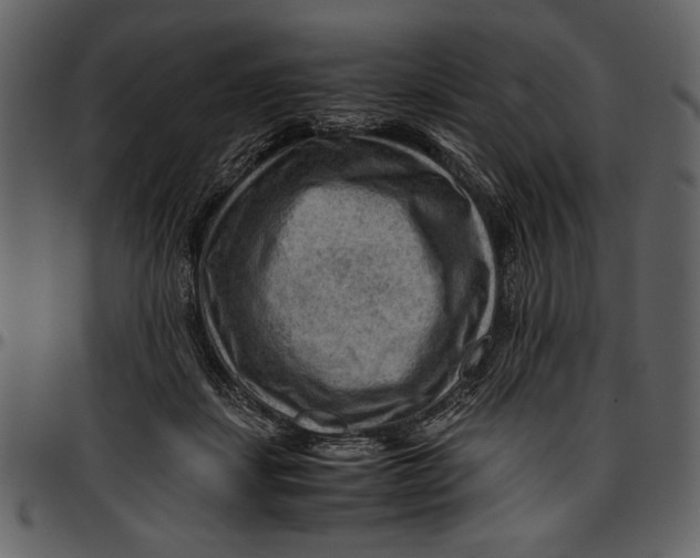 X0000096940459200802291037