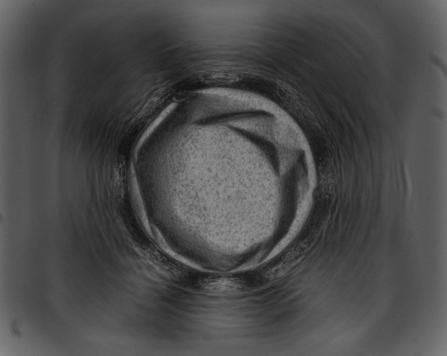 X0000096940460200802291037